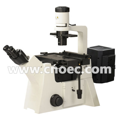 200X Epi - lampe A16.2702 100X d'halogène de microscope de fluorescence - 400X