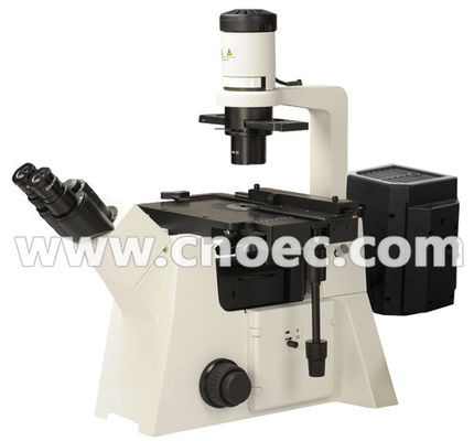 200X Epi - lampe A16.2702 100X d'halogène de microscope de fluorescence - 400X